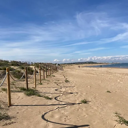 Vinamar Alena * La Mata (Torrevieja)